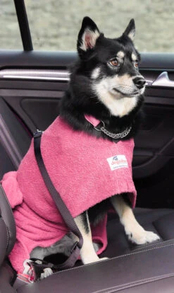 Dogrobes - Dog Robe Drying Coat - Pink -Pet dog drshopify1024 91