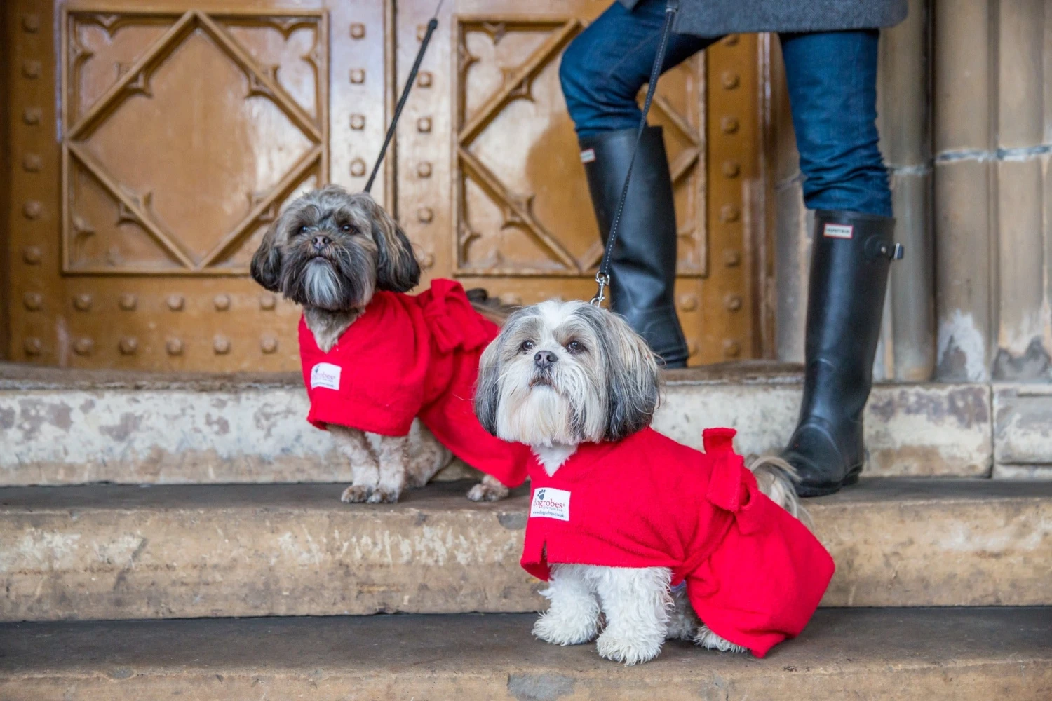 Dogrobes - Dog Robe Drying Coat - Red 10 Dogrobes - Dog Robe Drying Coat - Red - Image 8