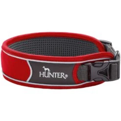 Hunter - Divo Dog Collar -Pet dog e pRi94x 67635 002 19