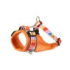 Doodlebone Adjustable Airmesh Dog Harness -Pet dog f5K6pi1cgRkWQ6vPS1o7ooMv19JUBjdZP9rIuyij 1