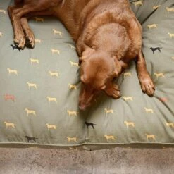 Sophie Allport Fab Labs Dog Mattress -Pet dog fab lab 3