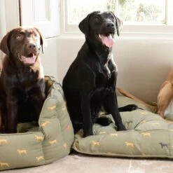 Sophie Allport Fab Labs Dog Mattress -Pet dog fab lab 4
