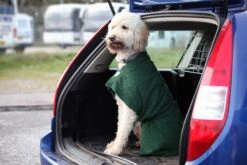 Dogrobes - Dog Robe Drying Coat - Green -Pet dog flash in the car 4902