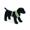 Beeztees Puppy Harness Grey -Pet dog fm 2019 02 08 11 00 43 31061 images 1