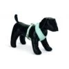 Beeztees Puppy Harness Blue -Pet dog fm 2019 02 08 11 01 18 10892 images 1