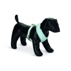 Beeztees Puppy Harness Blue -Pet dog fm 2019 02 08 11 01 18 10892 images 3