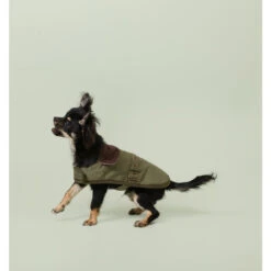 Cath Kidston Provence Rose Wax Coated Pet Coat -Pet dog fm 2019 10 10 09 29 30 96523 images