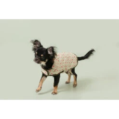 Cath Kidston Provence Rose Wax Coated Pet Coat -Pet dog fm 2019 10 10 09 29 35 6059 images