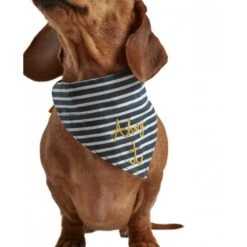 Joules - Ahoy There! Nautical Collar & Neckerchief -Pet dog fm 2020 07 16 01 49 33 53418 images 1