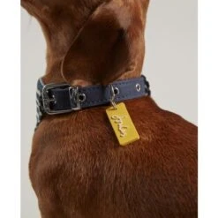 Joules - Ahoy There! Nautical Collar & Neckerchief -Pet dog fm 2020 07 16 01 49 36 992 images
