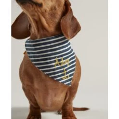 Joules - Ahoy There! Nautical Collar & Neckerchief -Pet dog fm 2020 07 16 01 49 39 32804 images