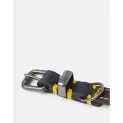 Joules - Ahoy There! Nautical Collar & Neckerchief -Pet dog fm 2020 07 16 01 49 41 71338 images