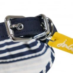 Joules - Ahoy There! Nautical Collar & Neckerchief -Pet dog fm 2020 07 16 01 49 46 56334 images