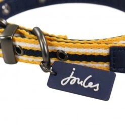 Joules - Coastal Dog Collar - Yellow Stripe -Pet dog fm 2020 07 16 02 18 35 85803 images