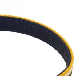 Joules - Coastal Dog Collar - Yellow Stripe -Pet dog fm 2020 07 16 02 18 37 70630 images