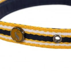 Joules - Coastal Dog Collar - Yellow Stripe -Pet dog fm 2020 07 16 02 18 39 48374 images