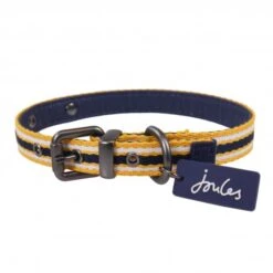 Joules - Coastal Dog Collar - Yellow Stripe -Pet dog fm 2020 07 16 02 18 43 15547 images 3