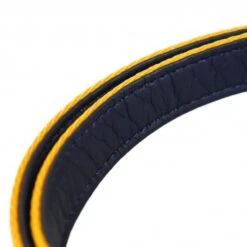 Joules - Coastal Dog Lead - Yellow Stripe -Pet dog fm 2020 07 16 02 22 45 68138 images