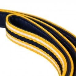 Joules - Coastal Dog Lead - Yellow Stripe -Pet dog fm 2020 07 16 02 22 47 14288 images