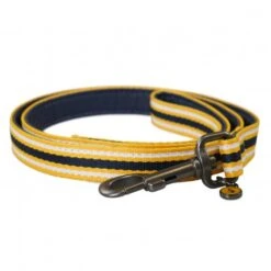 Joules - Coastal Dog Lead - Yellow Stripe