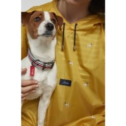 Joules - Coastal Dog Collar - Red Stripe -Pet dog fm 2020 07 16 03 01 45 45066 images