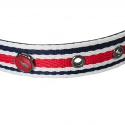 Joules - Coastal Dog Collar - Red Stripe -Pet dog fm 2020 07 16 03 02 15 2980 images