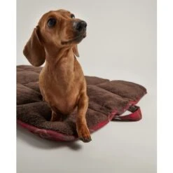 Joules - Dog Travel Mat - Red Heritage Tweed -Pet dog fm 2020 07 16 03 27 13 65322 images