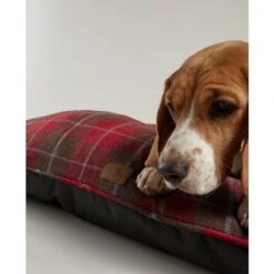 Joules - Let Sleeping Dogs Lie - Red Heritage Tweed Dog Mattress -Pet dog fm 2020 07 17 08 47 48 3720 images