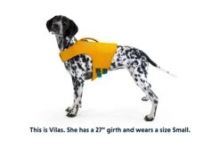 Ruffwear - Float Coat™ - Dog Life Jacket - Wave Orange 21 Ruffwear - Float Coat™ - Dog Life Jacket - Wave Orange -Pet dog gear on dogs studio float coat small text 640x 905ca48f e5d3 45a5 83b2 237e2e061072