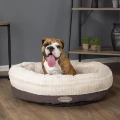 Scruffs - Ellen Donut Bed - Grey 7 Scruffs - Ellen Donut Bed - Grey -Pet dog grey ellen donut 2 grande a7faf410 461c 4d16 975e c2fdeea08dfe