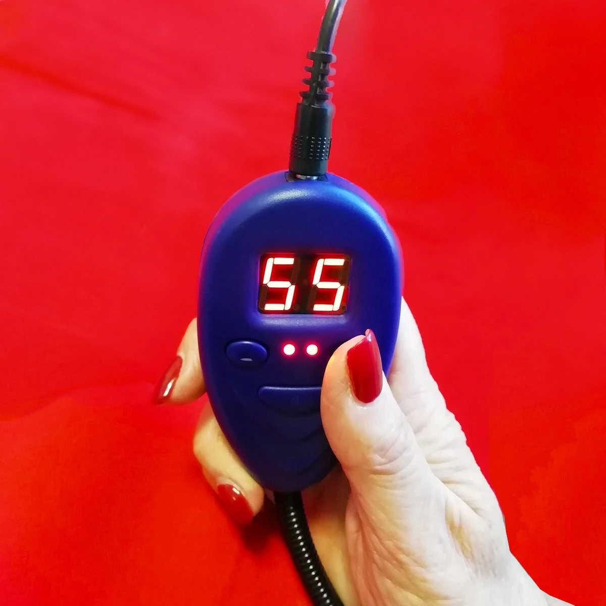 Hot Dogs Heated Dog Bed - Sledmere Pillow 5 Hot Dogs Heated Dog Bed - Sledmere Pillow - Image 3