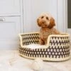 Hounds Of Harrogate - SISI - Handwoven Dog Basket From Ghana -Pet dog hoh products 73