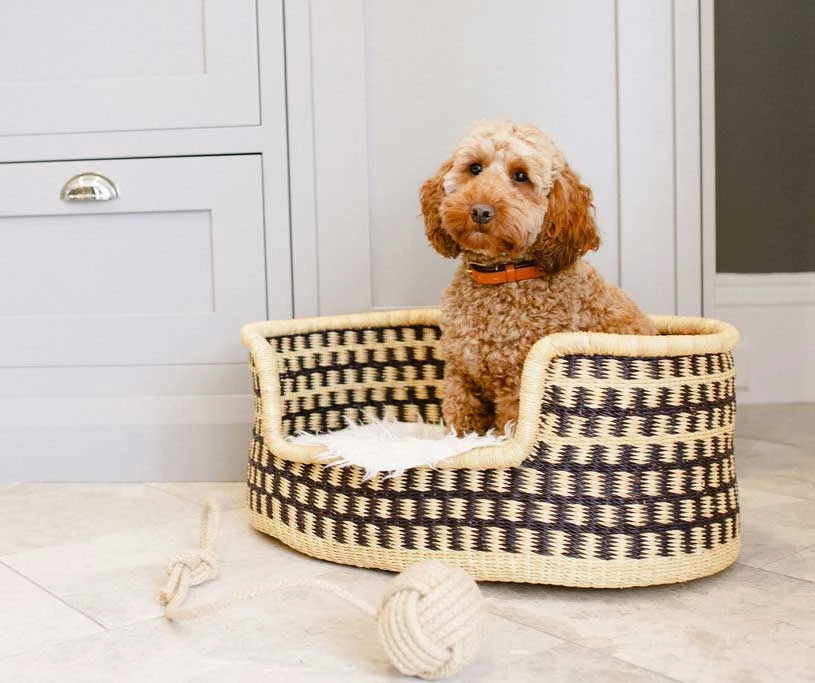 Hounds Of Harrogate - SISI - Handwoven Dog Basket From Ghana 3 Hounds Of Harrogate - SISI - Handwoven Dog Basket From Ghana