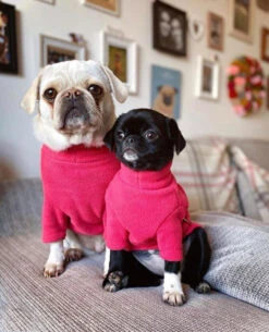 HOTTERdog Equafleece Dog Fleece - Red 8 HOTTERdog Equafleece Dog Fleece - Red -Pet dog hotterdog red