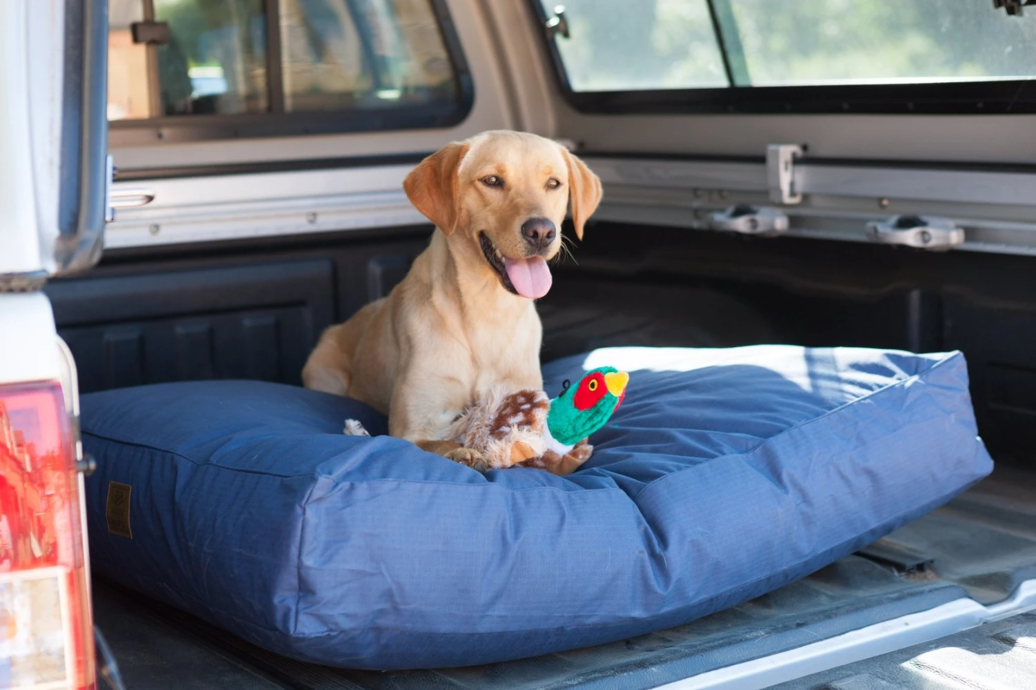 House Of Paws - All Weather Mattress Dog Bed Navy 4 House Of Paws - All Weather Mattress Dog Bed Navy - Image 2