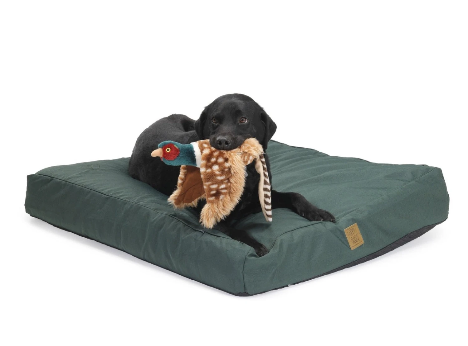 House Of Paws - All Weather Mattress Dog Bed Green 4 House Of Paws - All Weather Mattress Dog Bed Green - Image 2