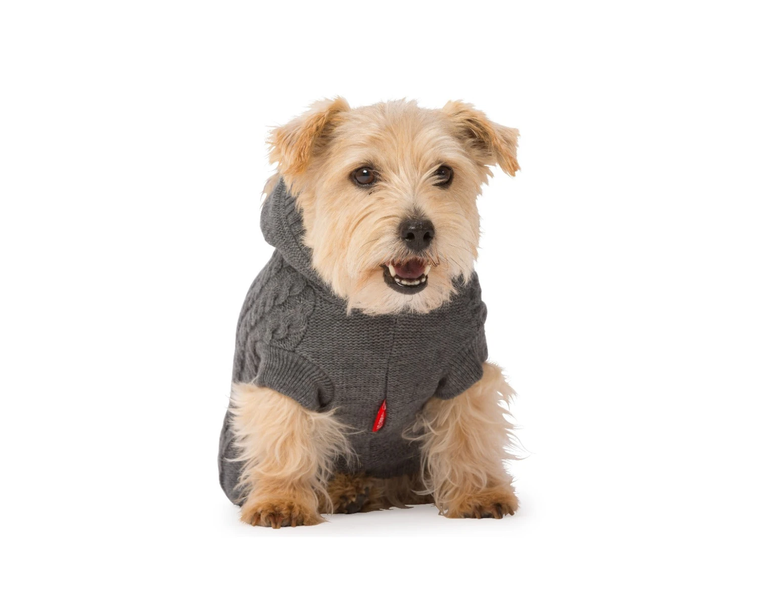 House Of Paws Hoody Cable Knit Grey 6 House Of Paws Hoody Cable Knit Grey - Image 4