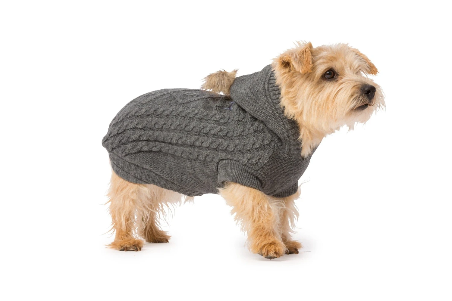 House Of Paws Hoody Cable Knit Grey 4 House Of Paws Hoody Cable Knit Grey - Image 2