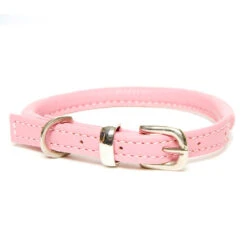 Dogs & Horses - Rolled Leather Dog Collar - Pink