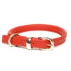Dogs & Horses - Rolled Leather Dog Collar - Red -Pet dog httpswww.notinthedoghouse.co .ukwp contentuploads201608contemporary rolled collar red