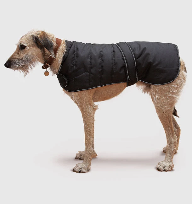 Danish Design - Black Harness Dog Coat 3 Danish Design - Black Harness Dog Coat