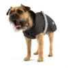 Danish Design - Black 2-in-1 Ultimate Dog Coat 2 Danish Design - Black 2-in-1 Ultimate Dog Coat -Pet dog httpswww.notinthedoghouse.co .ukwp contentuploads201610hi 2 in 1 dog coat