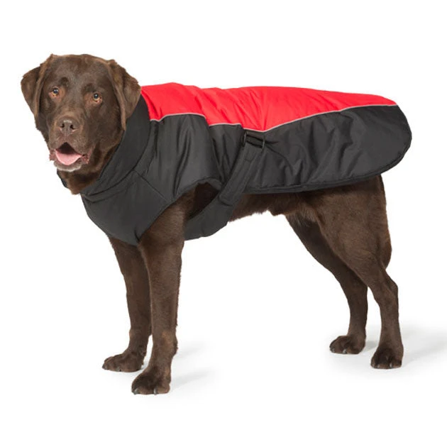 Danish Design - Red Sports Luxe Dog Coat 3 Danish Design - Red Sports Luxe Dog Coat