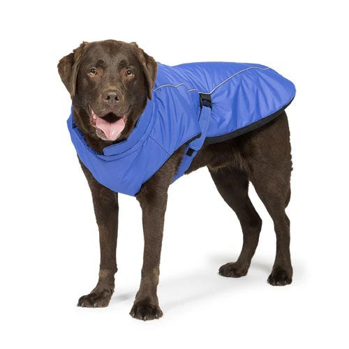 Danish Design - Blue Sports Luxe Dog Coat 3 Danish Design - Blue Sports Luxe Dog Coat
