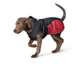 Hunter Uppsala Cozy Dog Coat - Anthracite/Red -Pet dog hunter 10099 65427 002 image 17 lpr 1