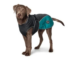 Hunter Uppsala Cozy Dog Coat - Anthracite/Teal 9 Hunter Uppsala Cozy Dog Coat - Anthracite/Teal -Pet dog hunter 10101 65439 001 image 17 lpr