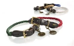 Hunter - List Rope Collar – Cream-50 38-44cm (12mm) -Pet dog hunter 11700 65071 001 still 18 lpr 1 1
