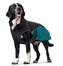 Hunter Uppsala Allrounder Dog Coat - Anthracite/Teal 11 Hunter Uppsala Allrounder Dog Coat - Anthracite/Teal -Pet dog hunter 12063 66827 001 image 18 lpr