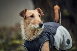 Hunter Uppsala Cozy Dog Coat - Anthracite/Grey 7 Hunter Uppsala Cozy Dog Coat - Anthracite/Grey -Pet dog hunter 13362 65451 002 live 18 lpr