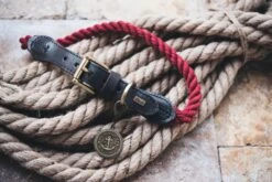 Hunter - List Rope Collar – Red-50 38-44cm (12mm) -Pet dog hunter 13864 65074 001 live 18 lpr 1 1 1